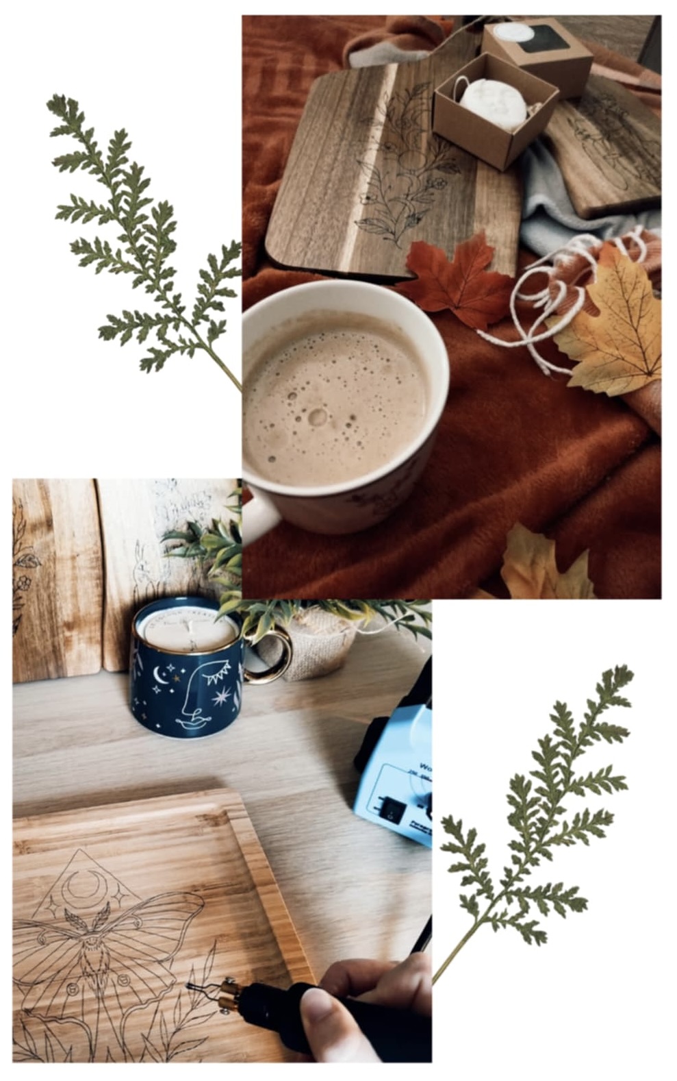 Présentation des créations